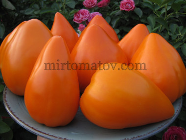 Оранжевое сердце от Анджелины (Orange heart from Angelini)