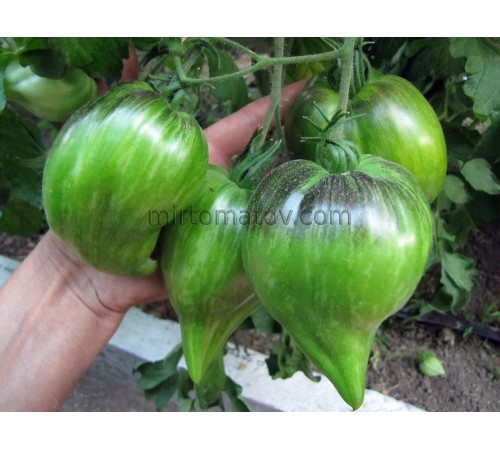 Аліскіно Серце (Aliska's Heart)