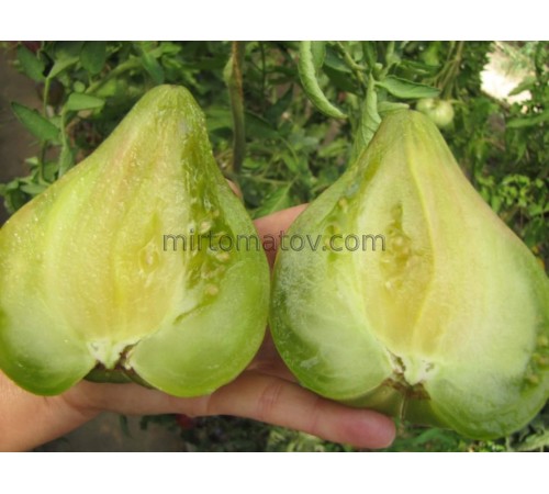 Аліскіно Серце (Aliska's Heart)