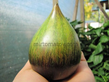 Аліскіно Серце (Aliska's Heart)