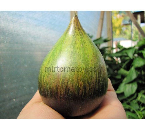 Аліскіно Серце (Aliska's Heart)