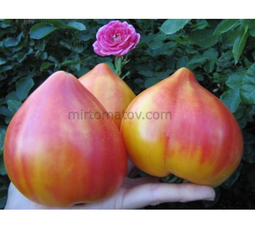 Pineapple Strawberry