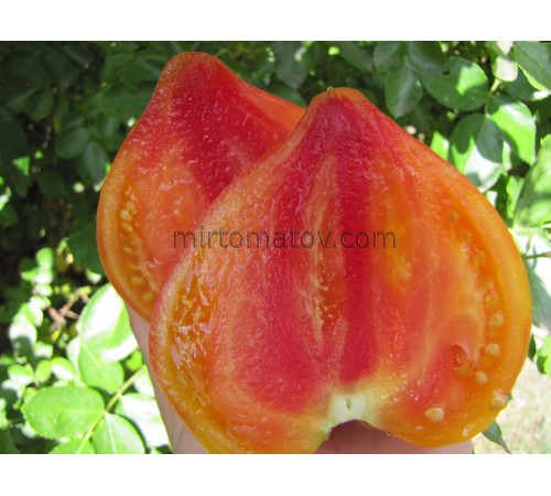 Pineapple Strawberry