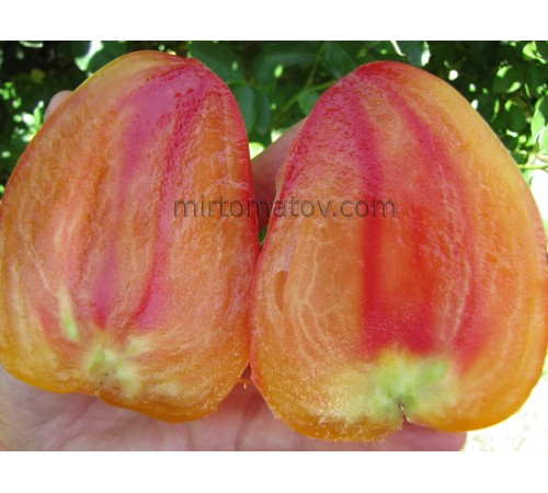 Orange Mango