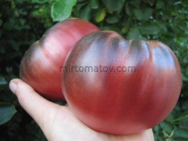 Ауэрмуом Апге (Auermuom Apgue)