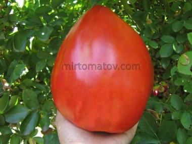 Большая Красная Кукла (Big Dolly Red)