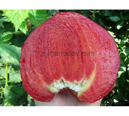 Большая Красная Кукла (Big Dolly Red)