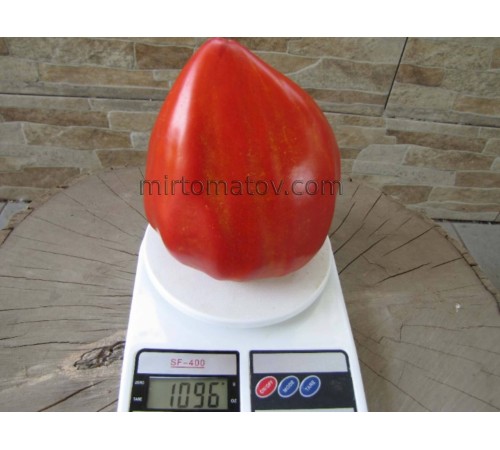 Большая Красная Кукла (Big Dolly Red)