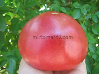 Большой Мак Генри (Big Mc Henry)