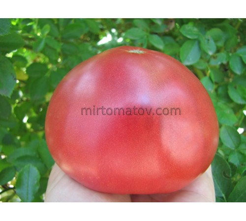 Большой Мак Генри (Big Mc Henry)