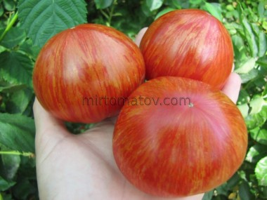 Бриллиантовые Ноги (Legs Diamond)