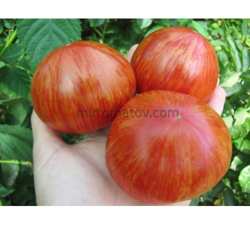 Бриллиантовые Ноги (Legs Diamond)