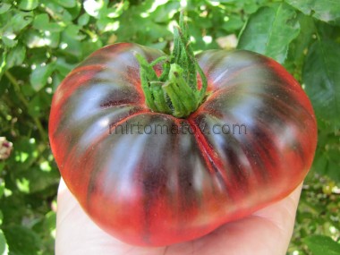 Гаробо ( Garobo)