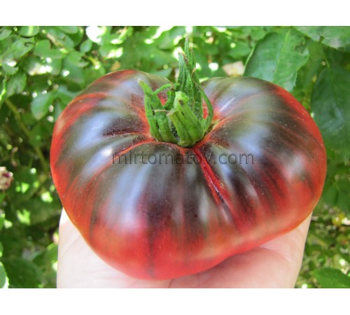 Гаробо ( Garobo)