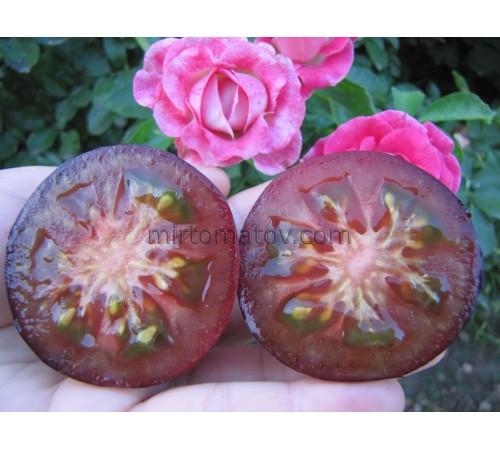 Глубоко фиолетовый (Deep Purple)