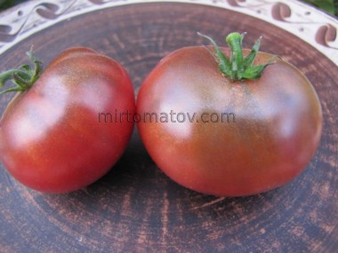 Гном Мечта Хейзи (Dwarf Hazy's Dream)