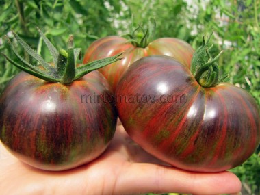 Далекий космос (Distant Space)