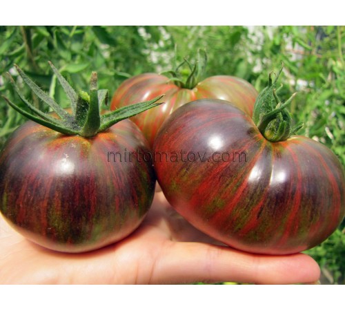 Далекий космос (Distant Space)