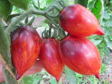 Загадка Полуничного Водоспаду (The Strawberry Falls Mystery)