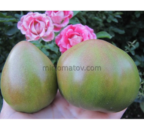 Зелене серце Софії (Sofia's green heart)