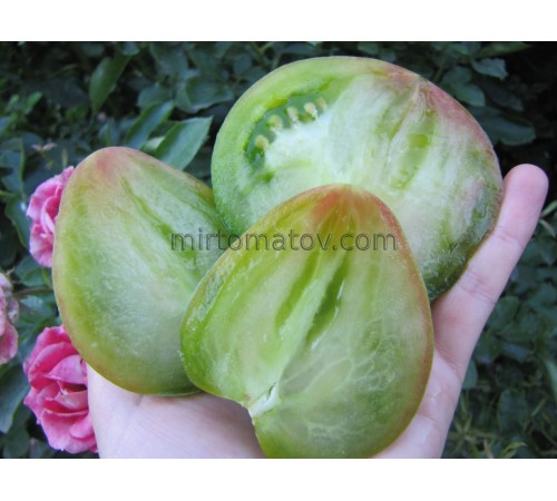 Зелене серце Софії (Sofia's green heart)