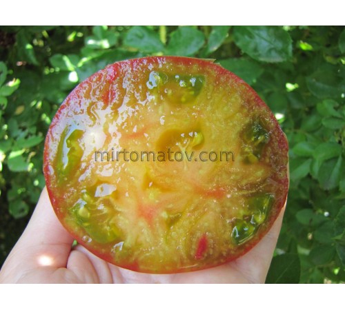Кленовое Сердце (Maple Heart)