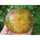 Кленовое Сердце (Maple Heart)
