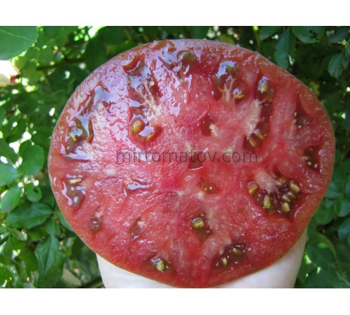 Клубничные Искры (Strawberry Sparkles)