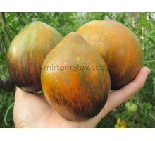 Софія Саакова