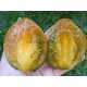 Охровая Вуаль (Ochre Veil)
