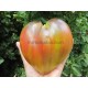 Чарівне Серце (Captivating Heart)