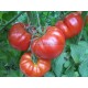 Whale tomatoes (Rosii de Baleni) 