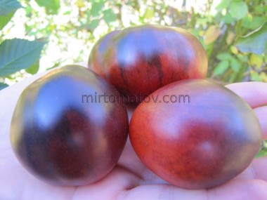 Блакитний трюфель (Trufa Azul)