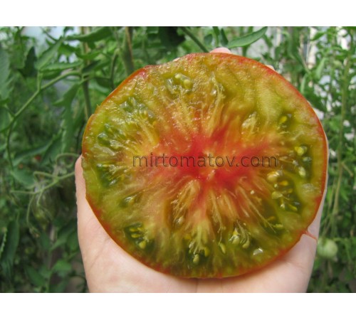 Uncle Albert's (Uncle Albert's)