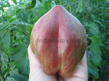 Золотой меч (Golden sword)