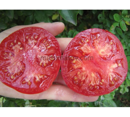 Китайский ранний