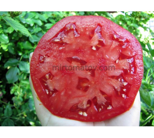 Whale tomatoes (Rosii de Baleni) 