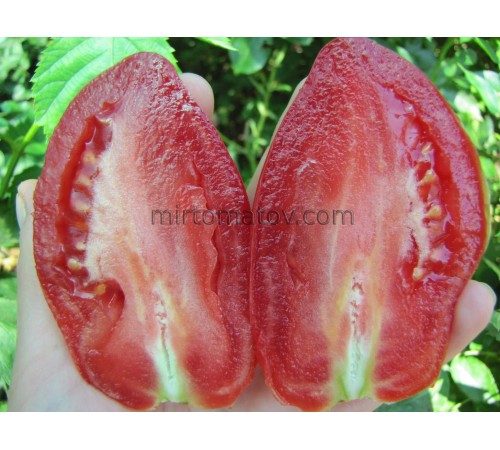 Kozula 202 (Kozula 202)