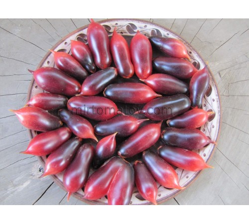 Кумкват Розовый Опал (Kumquat Pink Opal)