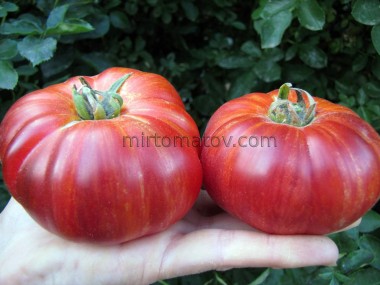 Мост над Неспокойной Рекой (Bridge Over A Troubled River)