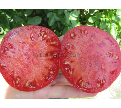 Мост над Неспокойной Рекой (Bridge Over A Troubled River)