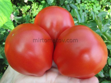 Озеро Маджоре (Lago Maggiore)