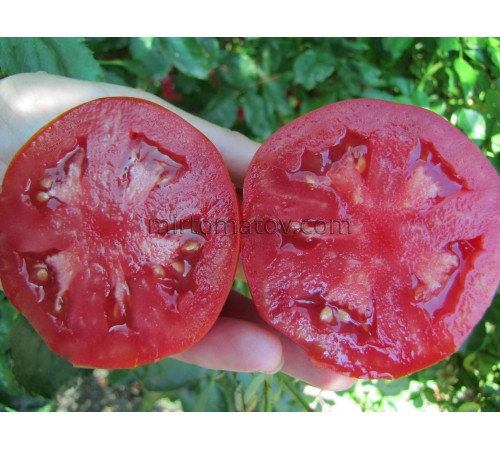 Озеро Маджоре (Lago Maggiore)