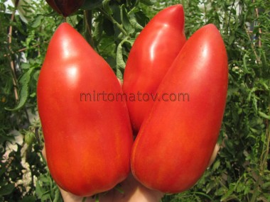 Озеро Яудж (Lake Yauj)