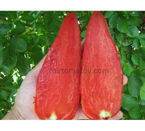 Озеро Яудж (Lake Yauj)