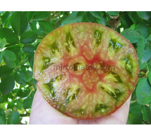 Оксамитове поділля (Velvet Podillia, Бархатное Подолье)