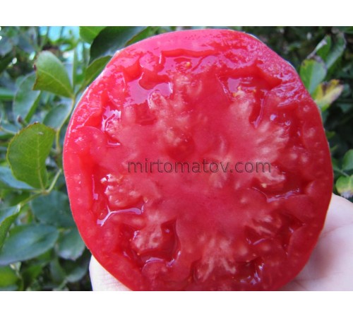 Подарунок Щербиніним