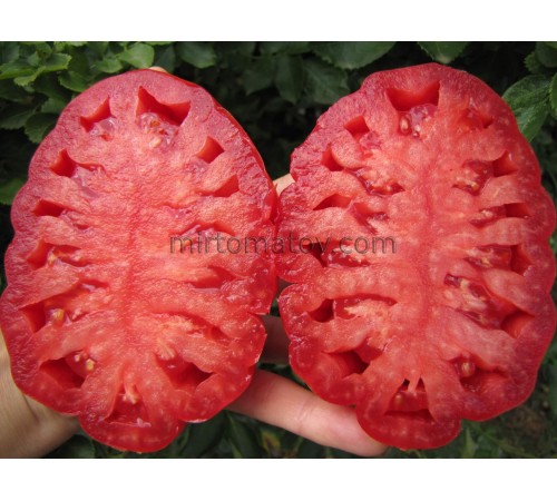 Помідори тітки Грети (Rosii Grete Tanti)