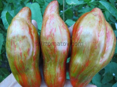 Посох родючості (Bâton de Fertilité)