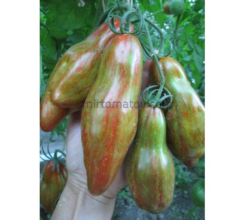 Посох родючості (Bâton de Fertilité)